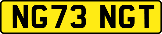 NG73NGT