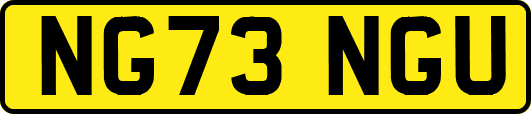 NG73NGU