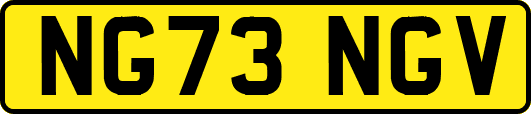 NG73NGV