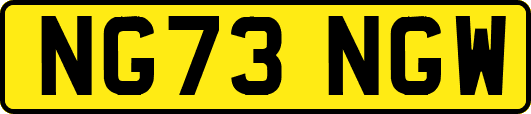 NG73NGW