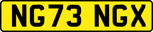 NG73NGX