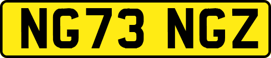 NG73NGZ