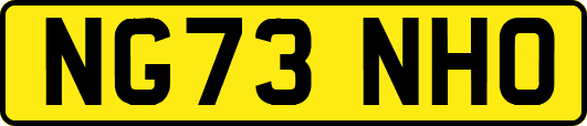 NG73NHO