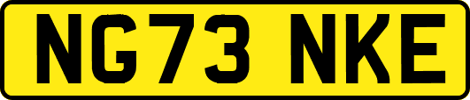 NG73NKE