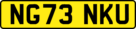 NG73NKU