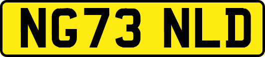 NG73NLD