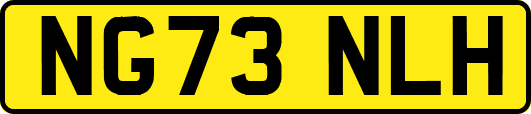 NG73NLH