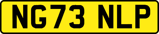 NG73NLP