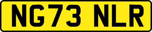 NG73NLR