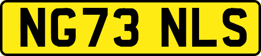 NG73NLS