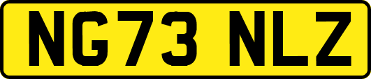 NG73NLZ