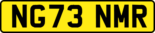 NG73NMR