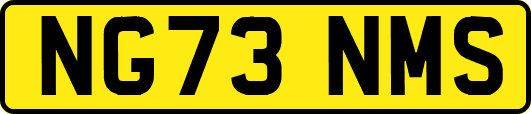 NG73NMS