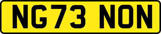 NG73NON