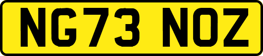 NG73NOZ