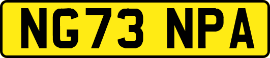 NG73NPA