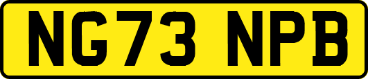 NG73NPB