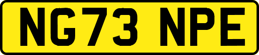 NG73NPE