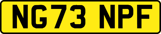 NG73NPF