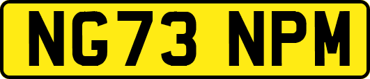NG73NPM