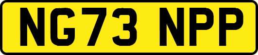NG73NPP