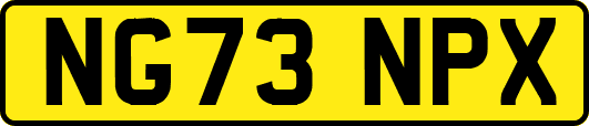 NG73NPX