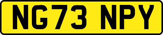 NG73NPY