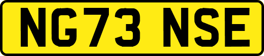 NG73NSE