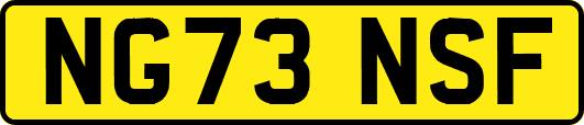 NG73NSF