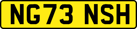 NG73NSH