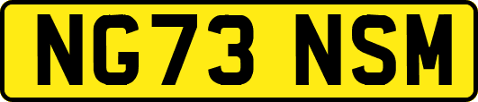 NG73NSM