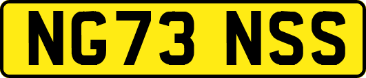 NG73NSS