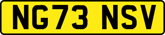 NG73NSV