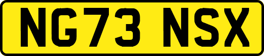 NG73NSX