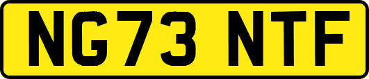 NG73NTF