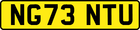NG73NTU
