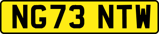 NG73NTW