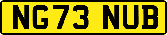 NG73NUB