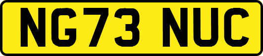 NG73NUC