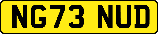 NG73NUD