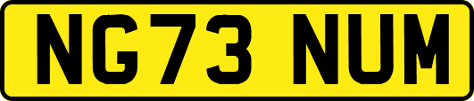 NG73NUM