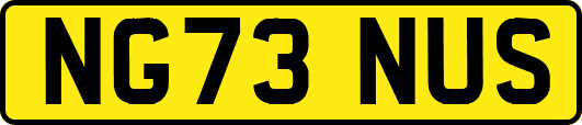 NG73NUS