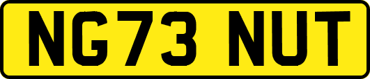 NG73NUT