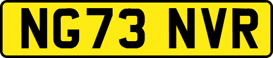 NG73NVR