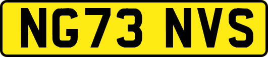 NG73NVS