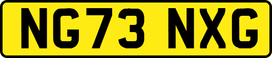 NG73NXG