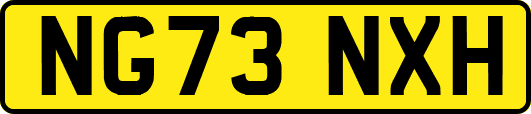 NG73NXH