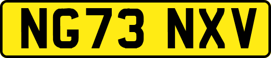 NG73NXV