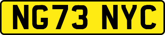 NG73NYC