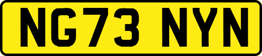 NG73NYN